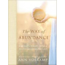 The Way of Abundance - A Sixty day Journey into a Deeply Meaningful Life - Ann Voskamp